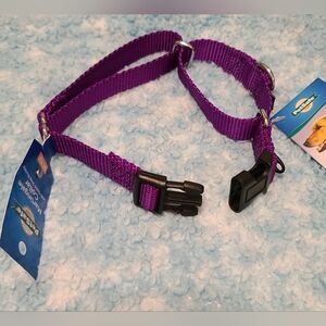 NEW PetSafe Purple Martingale Collar with Quick Snap Buckle, Sz M